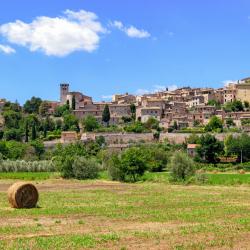 斯佩洛 40家乡村别墅