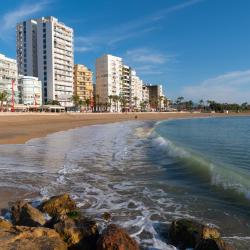 贝尼卡洛 55家带停车场的酒店