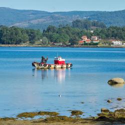 德拉托亚岛 5家自助式住宿