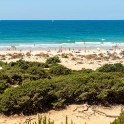 诺沃桑克蒂佩特里 25家海滩酒店