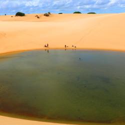 巴纳伊巴 98家住宿