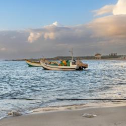 Dor 6家带停车场的酒店