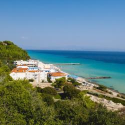 波利克罗诺 116家低价酒店