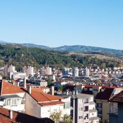 布拉戈耶夫格勒 4家Spa酒店