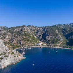 奇夫利克 6家宠物友好酒店