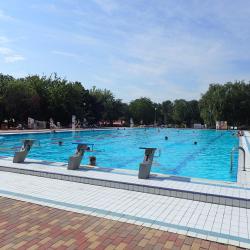 大梅杰尔 11家宠物友好酒店