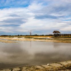 莫劳豪洛姆 12家宠物友好酒店
