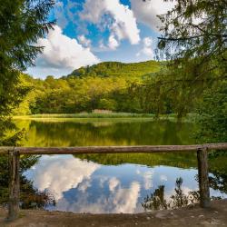 锡尔沃斯瓦里德 41家带停车场的酒店