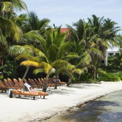 圣佩德罗 218家带泳池的酒店