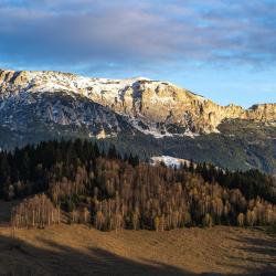 莫伊西德约斯 8家木屋