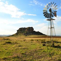 克拉伦斯 55家宠物友好酒店