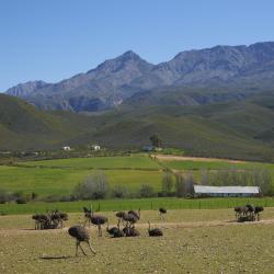 奥茨胡恩 12家带热水浴缸的酒店