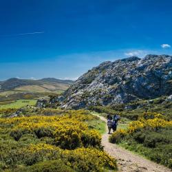 威克洛 12家自助式住宿