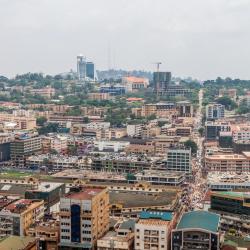 坎帕拉 561家宠物友好酒店