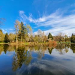 巴特沃里斯霍芬 18家带泳池的酒店