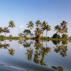 戈德亚姆 86家住宿