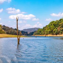 提喀迪 180家住宿