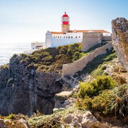 萨格里什 26家宠物友好酒店