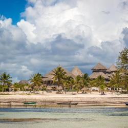 马林迪 82家海滩酒店