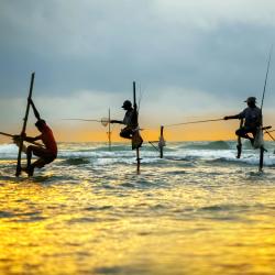 韦利格默 9家木屋