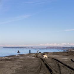谢赫维蒂利 19家乡村别墅