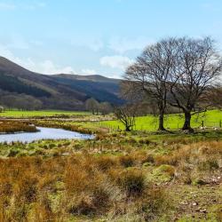 瓦伊河畔海伊 41家带停车场的酒店