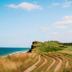 谢林汉姆 221家住宿