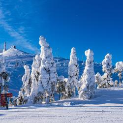 鲁卡 235家自助式住宿
