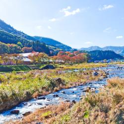 那须盐原市 5家公寓