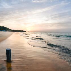 帕西库达 5家宠物友好酒店