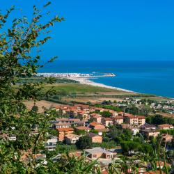 波尔图圣乔治 101家住宿