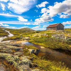 耶卢 137家带停车场的酒店