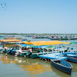 通贝斯 6家海滩酒店