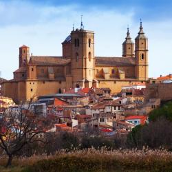 阿尔卡尼斯 13家宠物友好酒店