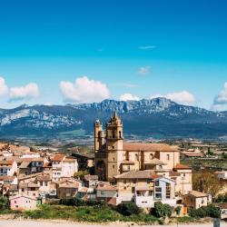 埃尔希耶戈 7家低价酒店