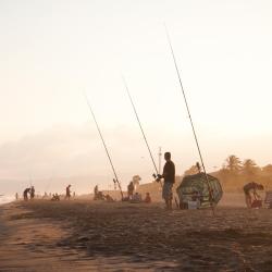 加瓦 11家海滩酒店