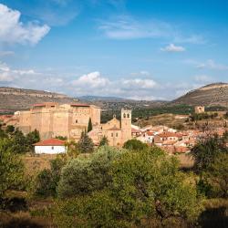 摩拉鲁比罗 18家宠物友好酒店