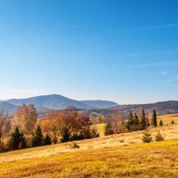 布伦纳 11家木屋
