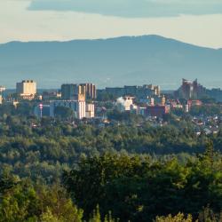 蒂黑 40家自助式住宿