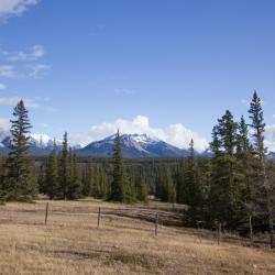 雷德迪尔 34家带停车场的酒店