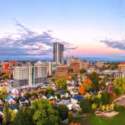 基奇纳 14家分契式公寓