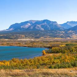 沃特顿公园 9家带停车场的酒店