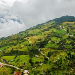 乔阿奇 51家带停车场的酒店