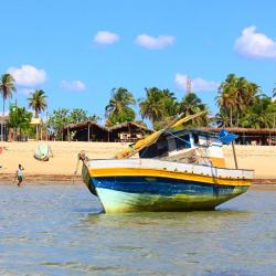 巴拉格兰德 225家住宿