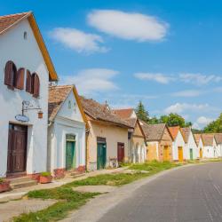 维拉尼 78家带停车场的酒店