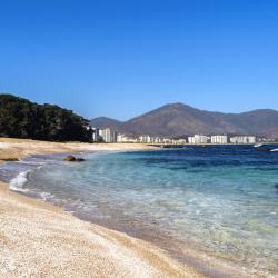 帕普多 62家海滩酒店