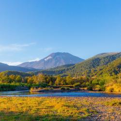 马拉卡韦罗 87家住宿