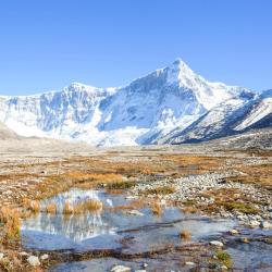 圣洛伦索 33家低价酒店