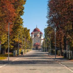 塔古玖 80家带停车场的酒店