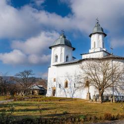 特尔古奥克纳 61家带停车场的酒店